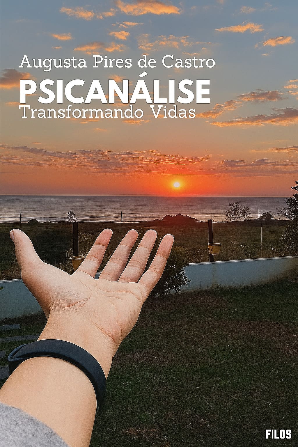Capa do Livro Psicanálise Transformando Vidas
